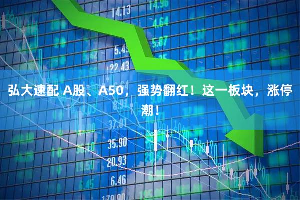 弘大速配 A股、A50，强势翻红！这一板块，涨停潮！