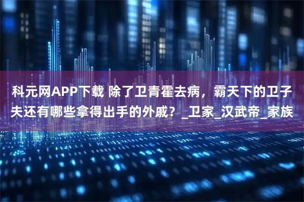 科元网APP下载 除了卫青霍去病，霸天下的卫子夫还有哪些拿得出手的外戚？_卫家_汉武帝_家族