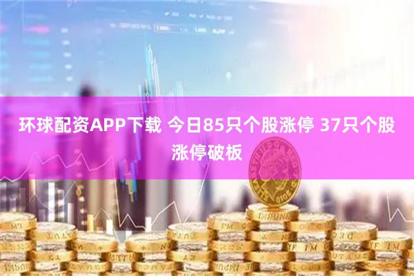 环球配资APP下载 今日85只个股涨停 37只个股涨停破板